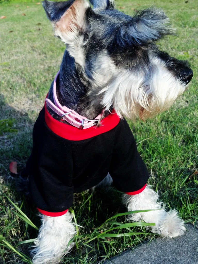 一岁啦